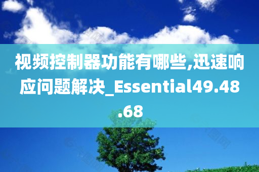 视频控制器功能有哪些,迅速响应问题解决_Essential49.48.68