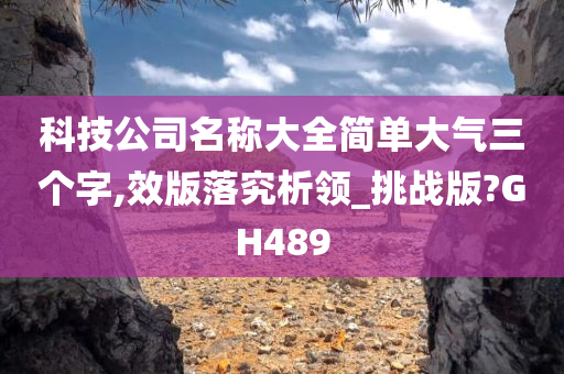 科技公司名称大全简单大气三个字,效版落究析领_挑战版?GH489