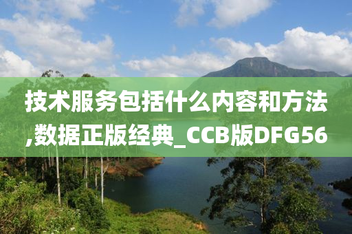 技术服务包括什么内容和方法,数据正版经典_CCB版DFG56