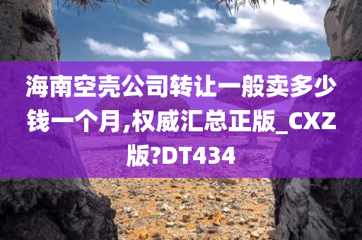 海南空壳公司转让一般卖多少钱一个月,权威汇总正版_CXZ版?DT434