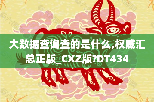 大数据查询查的是什么,权威汇总正版_CXZ版?DT434