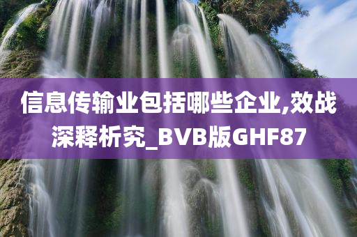 信息传输业包括哪些企业,效战深释析究_BVB版GHF87