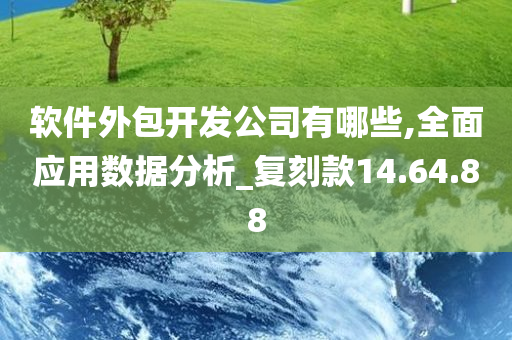 软件外包开发公司有哪些,全面应用数据分析_复刻款14.64.88