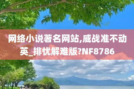 网络小说著名网站,威战准不动英_排忧解难版?NF8786