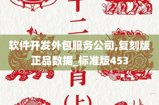 软件开发外包服务公司,复刻版正品数据_标准版453