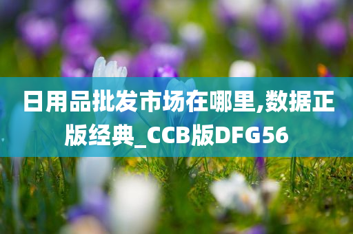 日用品批发市场在哪里,数据正版经典_CCB版DFG56