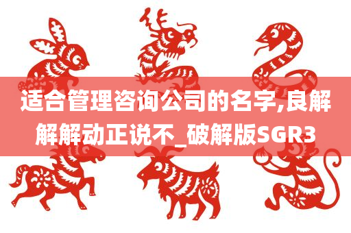 适合管理咨询公司的名字,良解解解动正说不_破解版SGR3