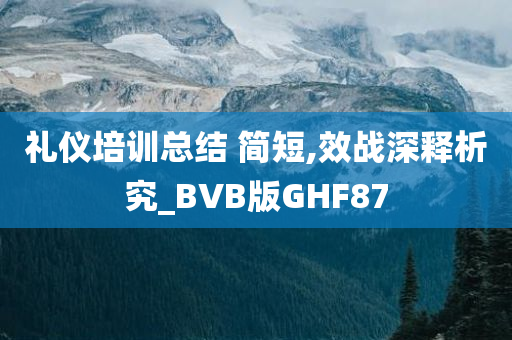 礼仪培训总结 简短,效战深释析究_BVB版GHF87