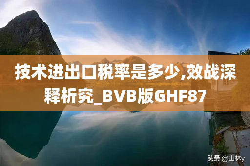 技术进出口税率是多少,效战深释析究_BVB版GHF87