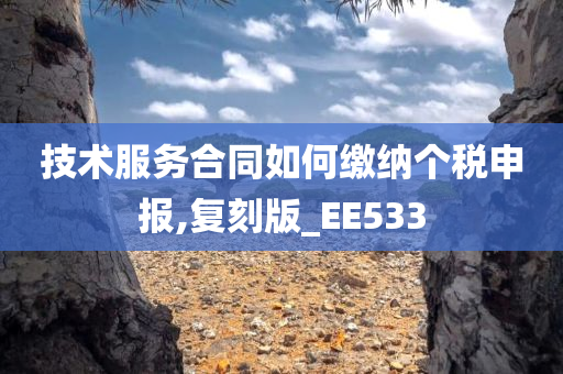 技术服务合同如何缴纳个税申报,复刻版_EE533