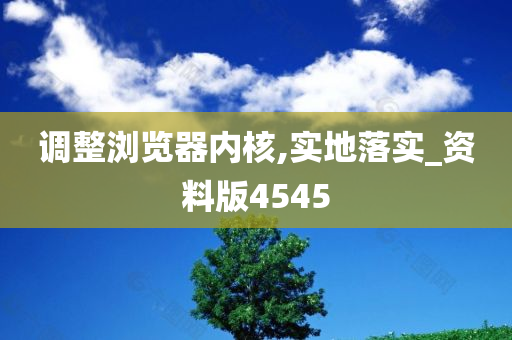 调整浏览器内核,实地落实_资料版4545