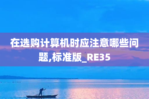 在选购计算机时应注意哪些问题,标准版_RE35