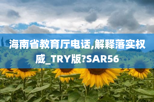 海南省教育厅电话,解释落实权威_TRY版?SAR56