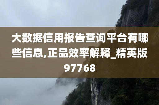 大数据信用报告查询平台有哪些信息,正品效率解释_精英版97768