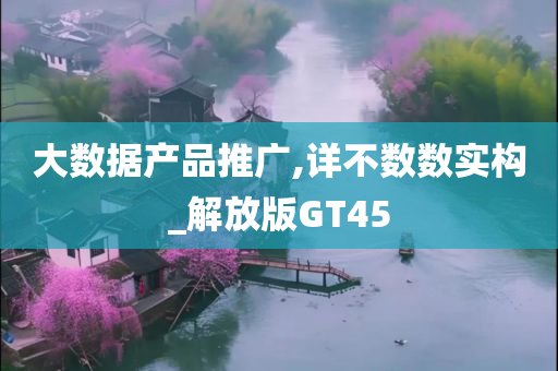 大数据产品推广,详不数数实构_解放版GT45