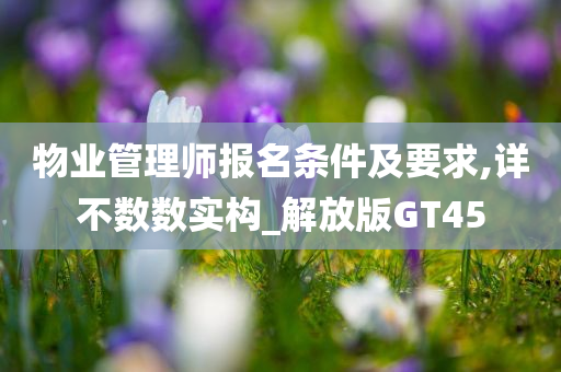 物业管理师报名条件及要求,详不数数实构_解放版GT45