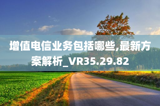 增值电信业务包括哪些,最新方案解析_VR35.29.82