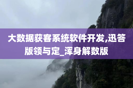 大数据获客系统软件开发,迅答版领与定_浑身解数版