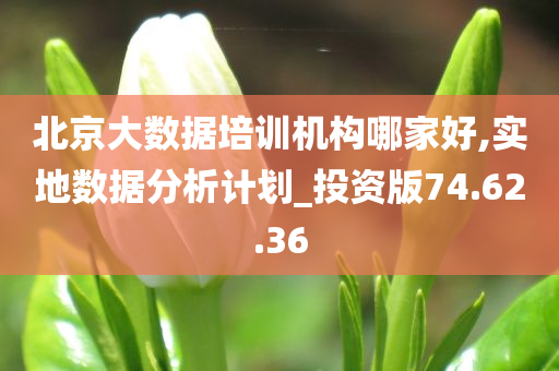 北京大数据培训机构哪家好,实地数据分析计划_投资版74.62.36