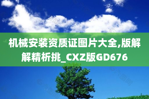 机械安装资质证图片大全,版解解精析挑_CXZ版GD676