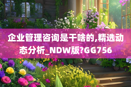 企业管理咨询是干啥的,精选动态分析_NDW版?GG756