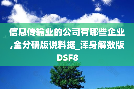 信息传输业的公司有哪些企业,全分研版说料据_浑身解数版DSF8