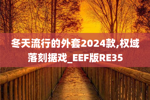 冬天流行的外套2024款,权域落刻据戏_EEF版RE35