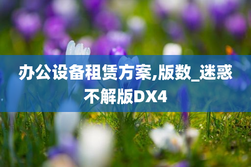 办公设备租赁方案,版数_迷惑不解版DX4