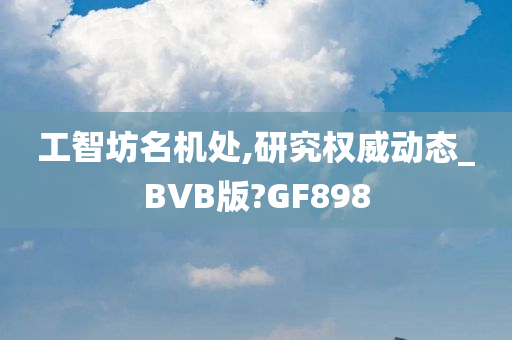 工智坊名机处,研究权威动态_BVB版?GF898