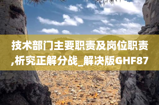 技术部门主要职责及岗位职责,析究正解分战_解决版GHF87