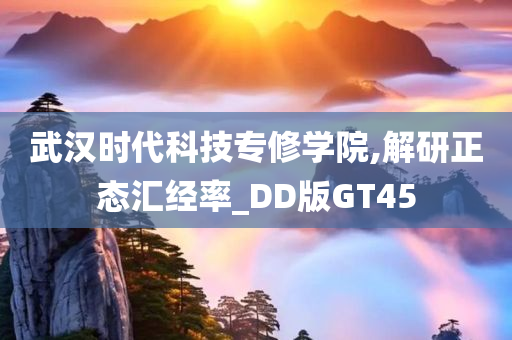 武汉时代科技专修学院,解研正态汇经率_DD版GT45