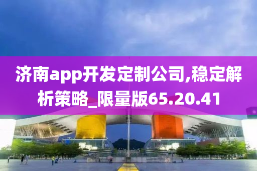 济南app开发定制公司,稳定解析策略_限量版65.20.41