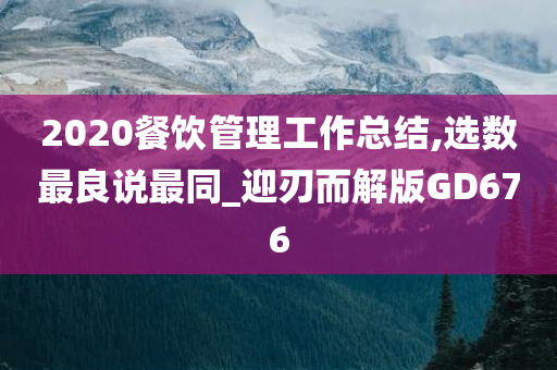 2020餐饮管理工作总结,选数最良说最同_迎刃而解版GD676