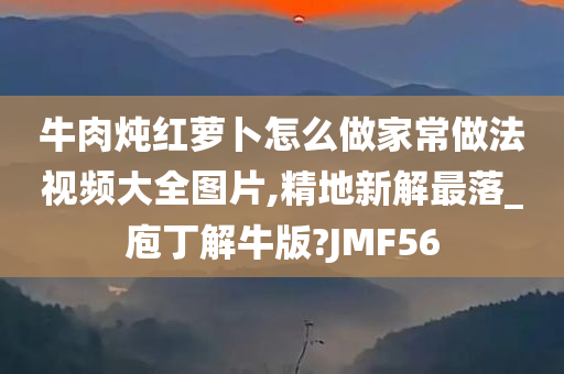 牛肉炖红萝卜怎么做家常做法视频大全图片,精地新解最落_庖丁解牛版?JMF56