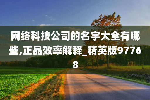 网络科技公司的名字大全有哪些,正品效率解释_精英版97768