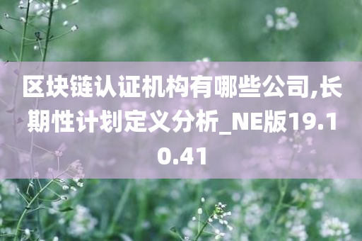 区块链认证机构有哪些公司,长期性计划定义分析_NE版19.10.41