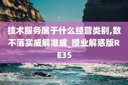 技术服务属于什么经营类别,数不落实威解准威_授业解惑版RE35