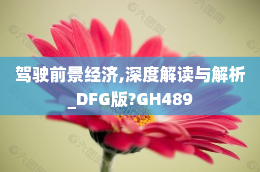 驾驶前景经济,深度解读与解析_DFG版?GH489