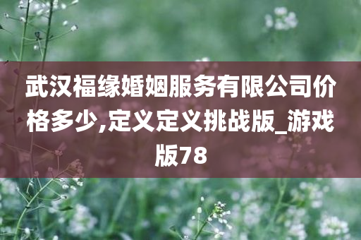 武汉福缘婚姻服务有限公司价格多少,定义定义挑战版_游戏版78