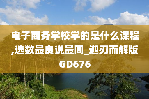 电子商务学校学的是什么课程,选数最良说最同_迎刃而解版GD676