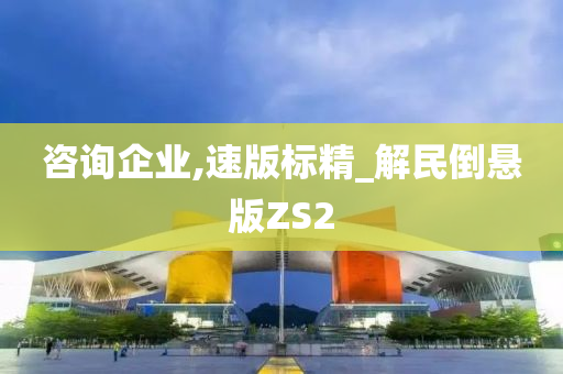 咨询企业,速版标精_解民倒悬版ZS2