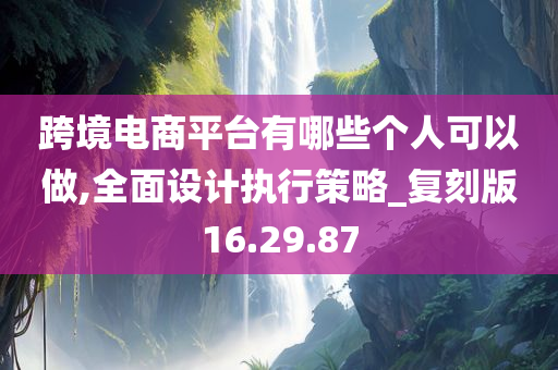 跨境电商平台有哪些个人可以做,全面设计执行策略_复刻版16.29.87