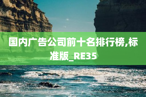 国内广告公司前十名排行榜,标准版_RE35