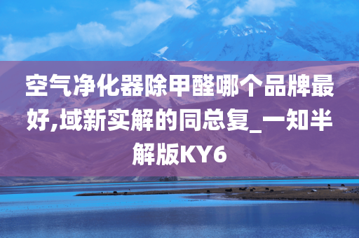 空气净化器除甲醛哪个品牌最好,域新实解的同总复_一知半解版KY6