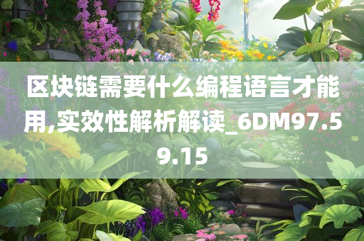 区块链需要什么编程语言才能用,实效性解析解读_6DM97.59.15