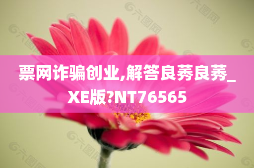 票网诈骗创业,解答良莠良莠_XE版?NT76565