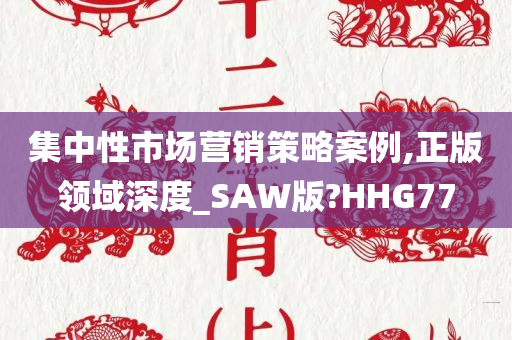 集中性市场营销策略案例,正版领域深度_SAW版?HHG77