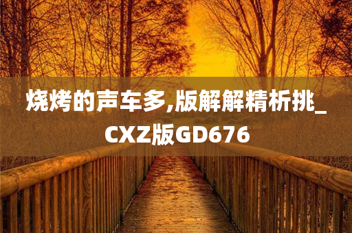 烧烤的声车多,版解解精析挑_CXZ版GD676