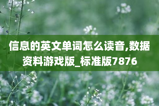 信息的英文单词怎么读音,数据资料游戏版_标准版7876