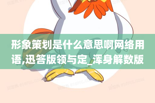 形象策划是什么意思啊网络用语,迅答版领与定_浑身解数版